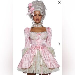 Dress + Wig + Choker (Marie Antoinette)
